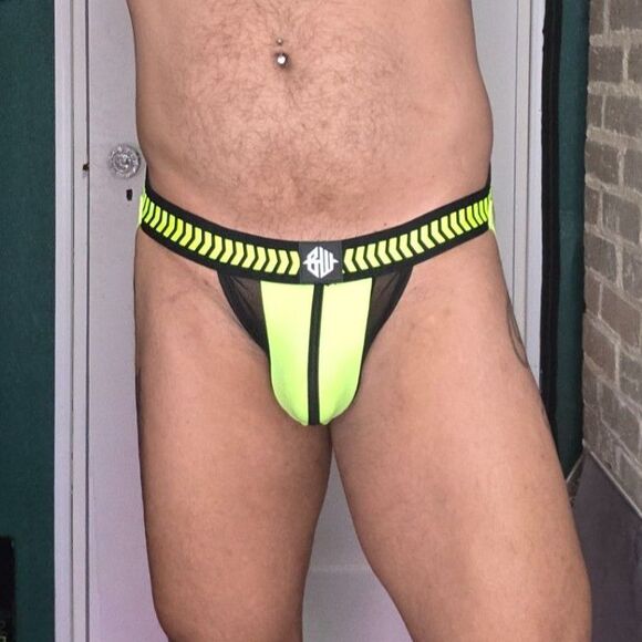BREEDWELL YELLOW DAYCRAWLER JOCK LARGE - Picture 3 of 7